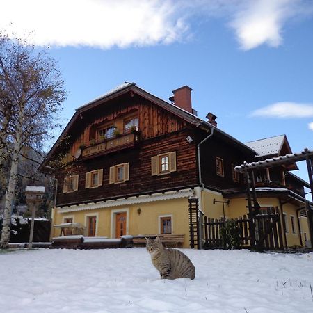 Gut Neusess Villa Mauterndorf  Ngoại thất bức ảnh
