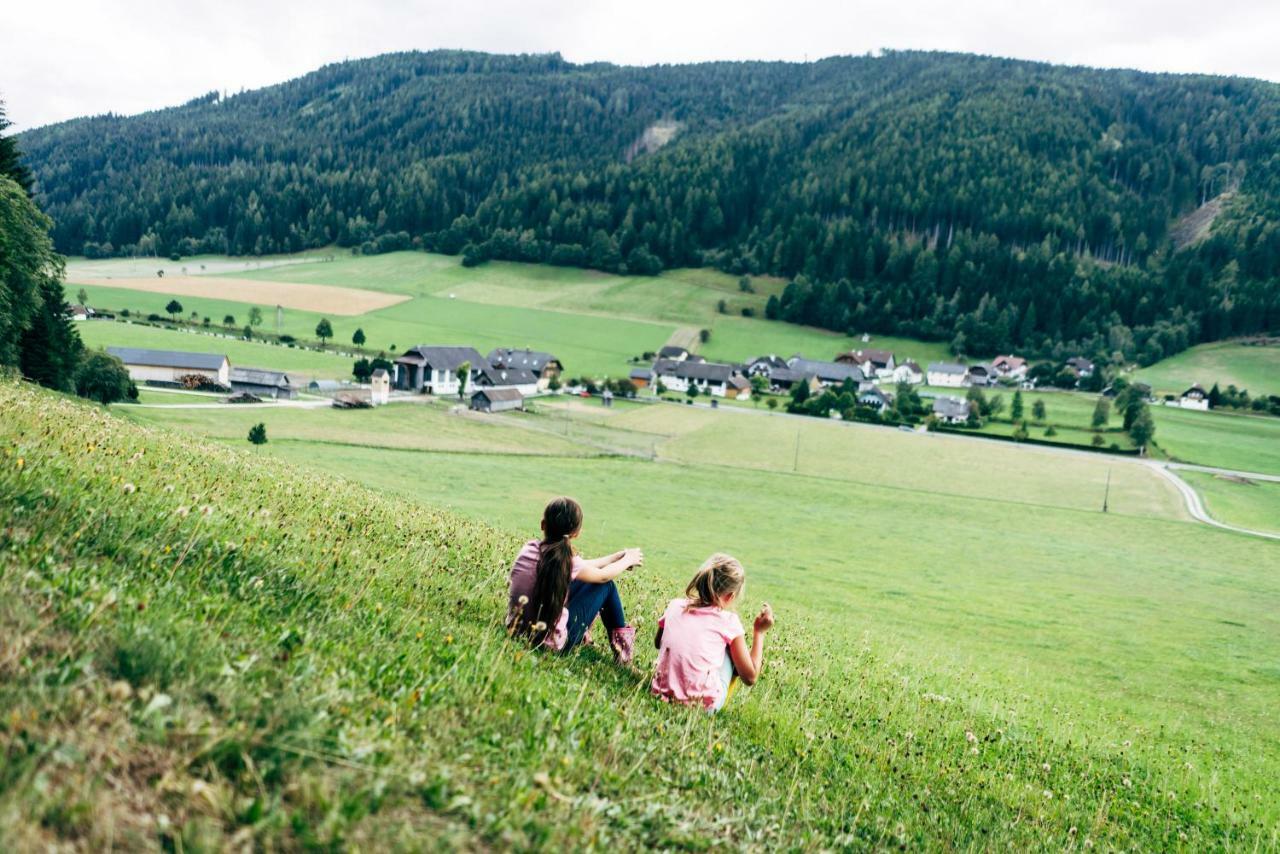 Gut Neusess Villa Mauterndorf  Ngoại thất bức ảnh
